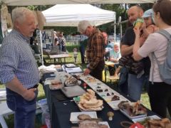 33 gombafajunk van - most ennyi termett