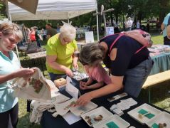 Ahol gyerek van, fogynak az emléktárgyak