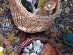 Volt mit gyűjteni, ha nem is mázsaszám