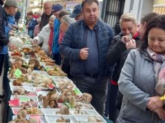 Tömött sorokban, egész idő alatt