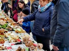 A kiállítás igazi piaci attrakcióvá nőtte ki magát az évek során