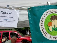 Fotózási tájékoztatás - betartjuk a szabályt