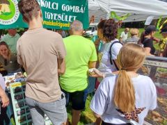 Na ilyen az igazi nyüzsi!