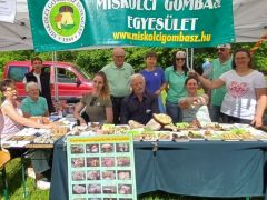 Hogy erre mikor volt időnk?