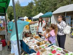 Azok a bizonyos szagos gombák - népszerű téma
