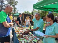 Pelles Gabi a tinórufélék mestere