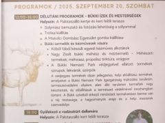 A rendezvény programja