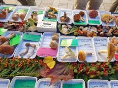 Szépen berendezett asztalok - nem mindig jut időnk a díszítésre