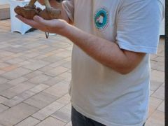 A gombának mindig alá kell nézni!