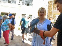 Szétnéztünk a szomszédoknál is