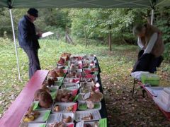 Kipakoltunk. Béres János, Csehné Marika és én alkotjuk a mai csapatot