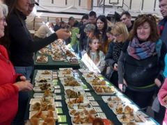 Több sorban álltak a látogatók, mindenkire szükség volt