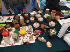 Szaniszlai Évike gombás készítményei