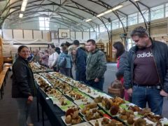 Elég sokan eljöttek az idei tanulók közül is