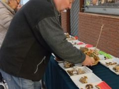 Attila és az asztaldísz - szép legyen!