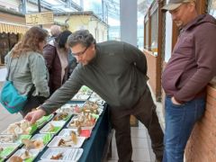 Az ügyelők is tudnak közben tanulni