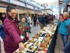 2025.10.11 - Gombakiállítás a Búza Téri Vásárcsarnokban