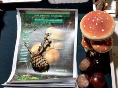 Már hirdetjük a 2026. évi tanfolyamunkat