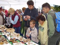 Tömeges érdeklődés