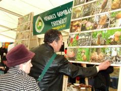 No nézd meg, ilyen volt!