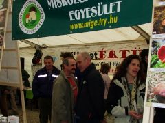 A rendész is elcsábult...