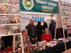 Ilyen volt a standunk