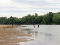 Séta a Tisza medrében...