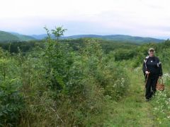 Éva itt még mit sem sejt...