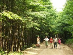 Ballagunk a "tuti hely" felé