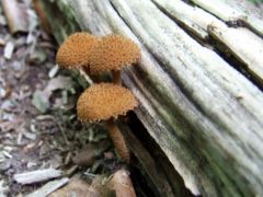 Őket nem ismerjük, de nagyon tetszenek!