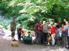 Zárókép: fajhatározás szalonnasütéssel