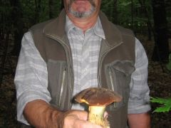 Jenő és a vargánya