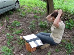 Készülődés a fajlista íráshoz :)