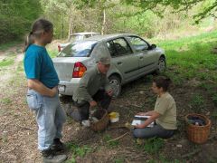 No akkor ezeket találtuk...