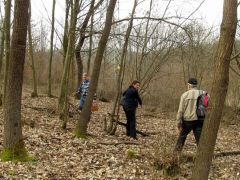 Éva már megint talált valamit!