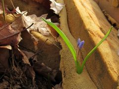 Újra közeledünk a kultúrvilághoz...