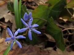 A borostyán között szépen mutattak!