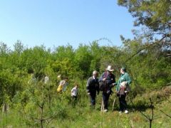 Fel a hegyre - barátkozós túra