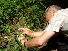 A túravezető is csak gombász...