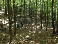 Voltak azért kietlen foltok is