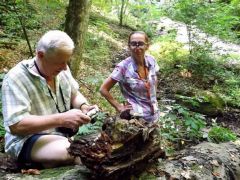 Micsoda kiszolgálás!