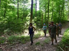 És aztán mehet minden tovább...