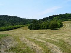 Változatos, hangulatos tájakon jártunk