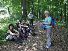 Éva valami lovasbalesetéről mesél...