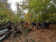 Gyülekező irányváltáshoz