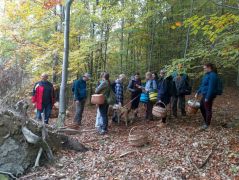 Mit találtunk eddig?