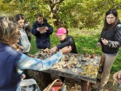 Rakjuk ki, amink van!