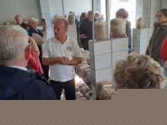 Üzemlátogatás