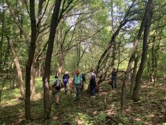 Nekibuzdultunk rendesen