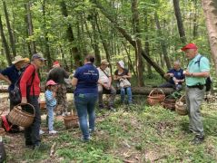 Ebédelünk - csak úgy köröm közül